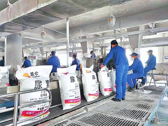 摩根大通预警全球粮荒 2027年粮价或难回头，化肥涨43%只是开始？